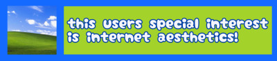 this users special interest is internet aesthetics!